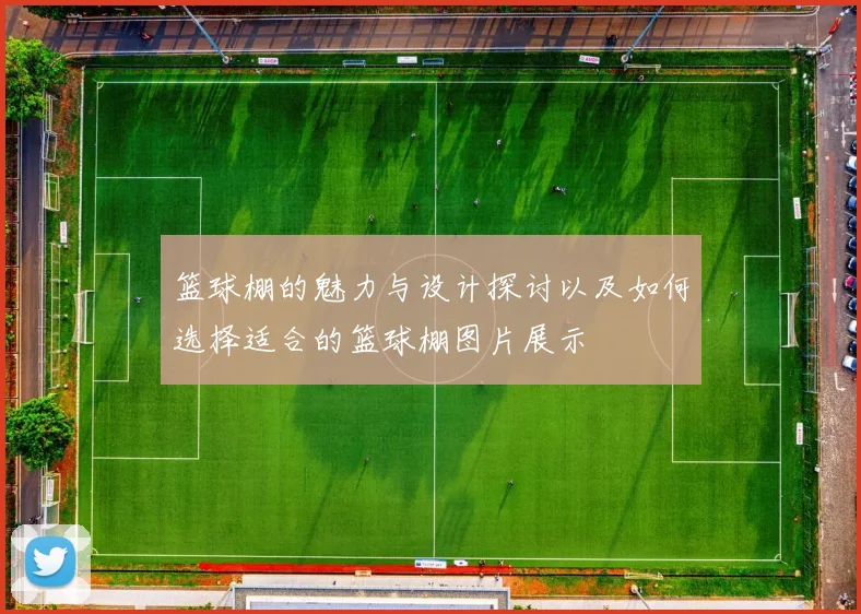 篮球棚的魅力与设计探讨以及如何选择适合的篮球棚图片展示