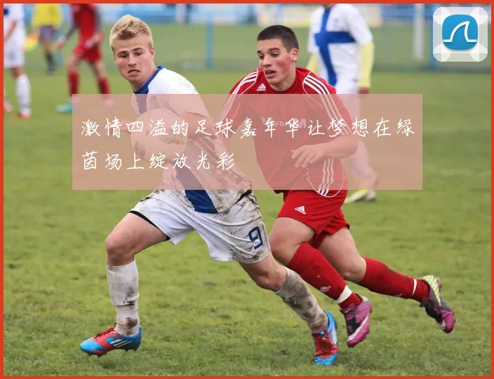 激情四溢的足球嘉年华让梦想在绿茵场上绽放光彩