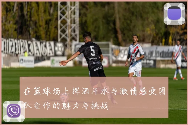 在篮球场上挥洒汗水与激情感受团队合作的魅力与挑战