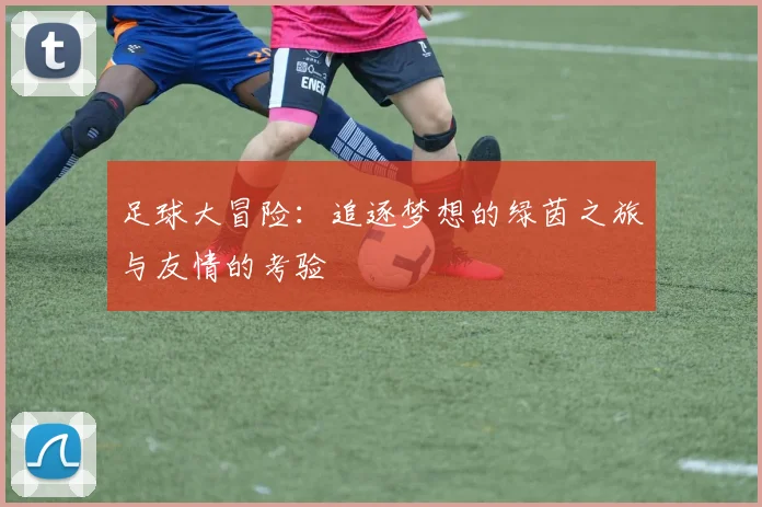 足球大冒险：追逐梦想的绿茵之旅与友情的考验